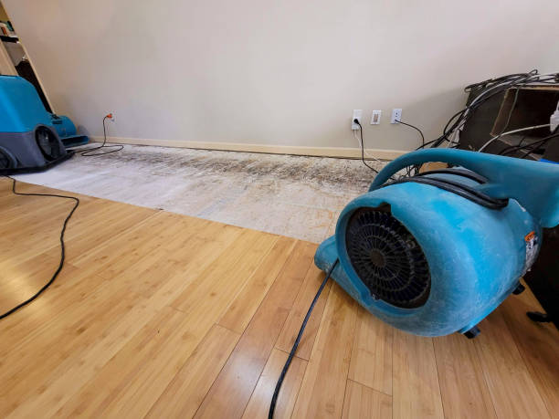 Professional Water Removal technician working in Sun City Center, FL